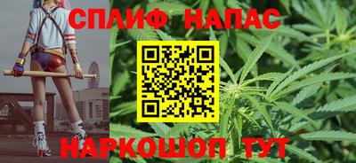 гидра Шелехов