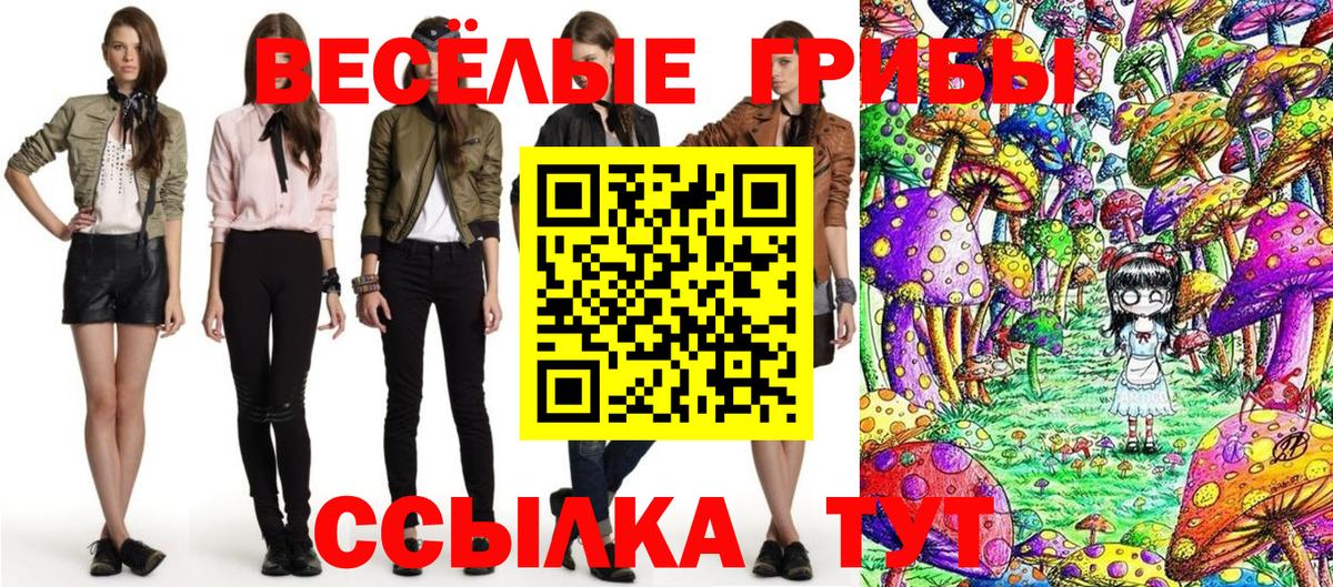 Псилоцибиновые грибы ЛСД  Псилоцибиновые грибы Cubensis  Тулун  Вход с VPN 