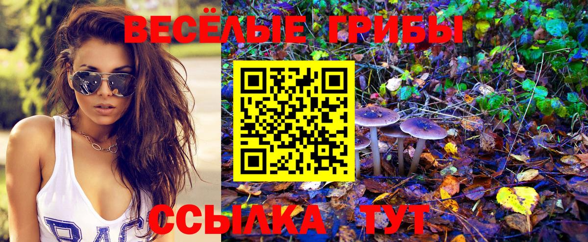 Псилоцибиновые грибы мицелий Тулун